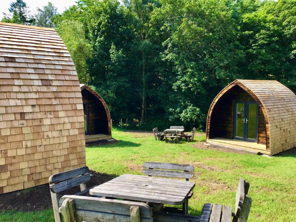 Alder Pod, Clay Bank Huts Otel Ingleby Greenhow Dış mekan fotoğraf
